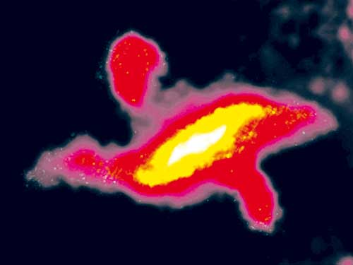 esta imagen de centaurus a obtenida por el Observatorio espacial Herschel combina datos en longitudes de onda lar- gas en el infrarrojo de su arreglo de cámara y espectrómetro fotoconductor (Pacs) a 100 micras, y de su Receptor de imágenes espectral y fotométrico, (sPiRe) a 250, 350 y 500 micras. crédito: esa/Herschel/Pacs/sPiRe/c.d. Wilson, MacMaster university, canadá, en http://www.nasa.gov/mission_pages/herschel/multimedia/pia15421.html