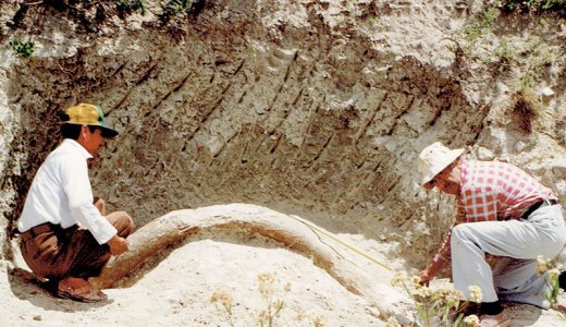 Moisés Cabrera excavando una defensa de mamut en los alrededores de Valsequillo. Fotografía: María Eugenia Cabrera, sin fecha.
