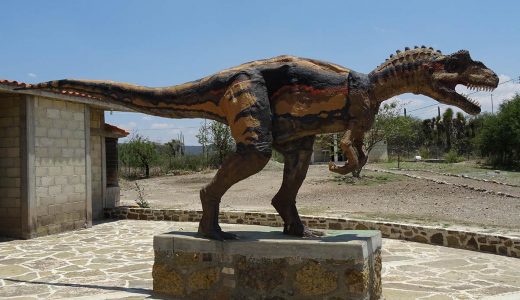 econstrucción hipotética del dinosaurio terópodo de San Juan Raya, Puebla. Fotografía: Jorge Herrera, 2019
