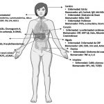 Figura 3. Los diferentes biomarcadores sali- vales que se utilizan para identificar diversas enfermedades. Dependiendo de la enfermedad que se quiera estudiar o evaluar en una pobla- ción en específico, se analizan y buscan los bio- marcadores correspondientes en la saliva.