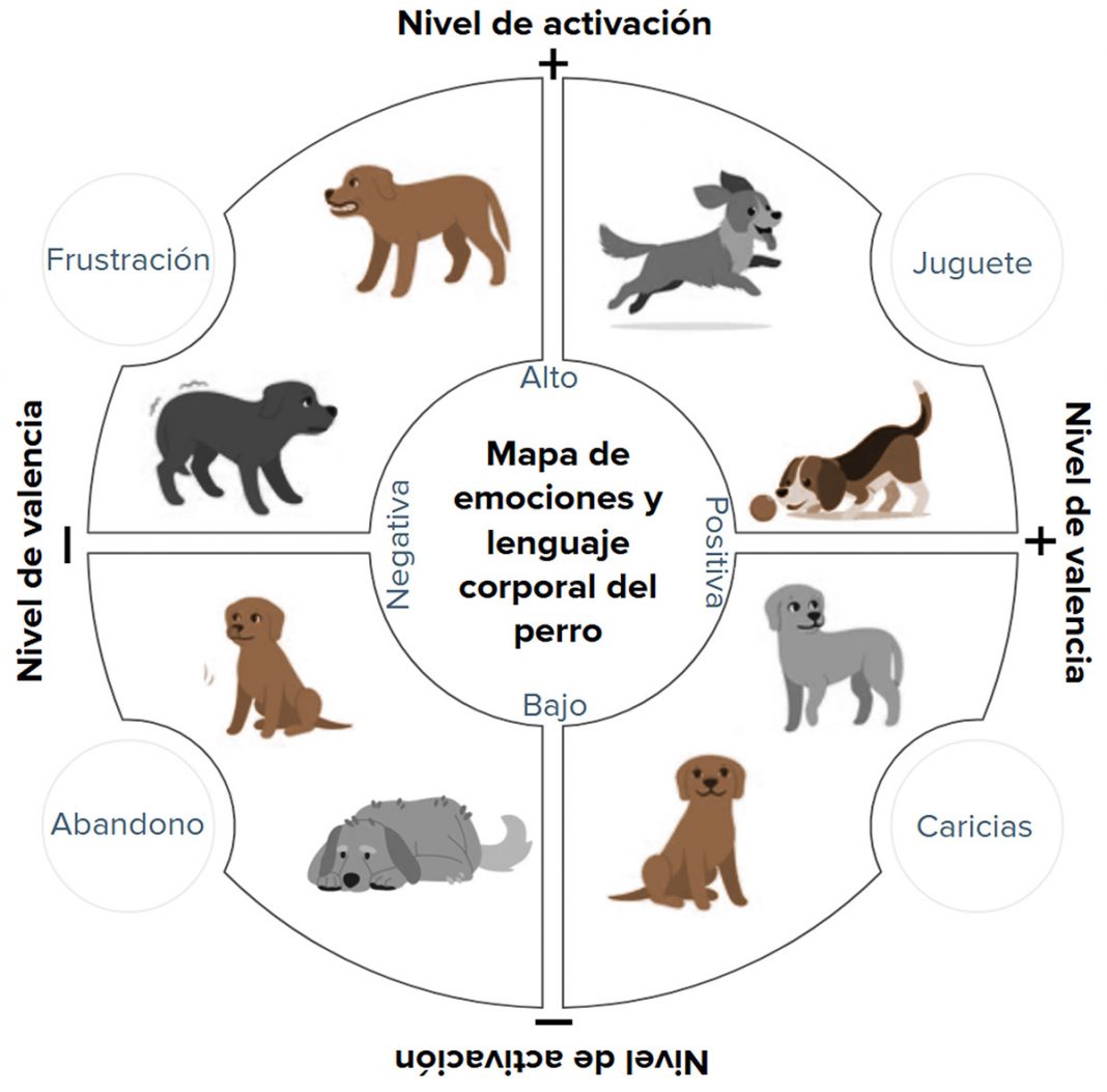 · Caracterización de las emociones en relación con las actividades que permiten el cálculo de los valores de valencia y activación