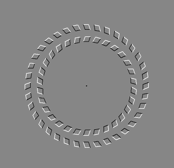 2) movimiento de círculos, se produce al alejarse y acercarse a los círculos visualizando el punto central. Cabe decir que todos los círculos son concéntricos. Al alejarse de las imáge- nes podrá ver los círculos concéntricos de los 2 patrones.