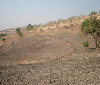Desertificación incipiente en San Andrés Azumiatla, Puebla, México