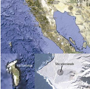  Se muestra la localización de la Isla Guadalupe (lat: 28o 58 ́24 ̋ N, long: 118o 18 ́4 ̋ O). También se muestra la ubicación del sitio seleccio- nado. Por ser la Isla Guadalupe una Reserva de la Biosfera, Sci-HI será retirada de la isla una vez terminadas las observaciones. Se está bus- cando la promoción de leyes para proteger a la Isla Guadalupe como zona radio-silente, este también es un recurso natural cada vez más escaso.