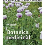 portada syc numero 62 abril 2017