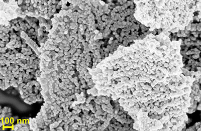 Desentrañan los efectos biológicos de las nanopartículas de óxido de cerio