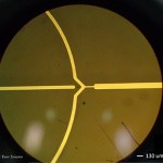 · Canales microfluídicos en una celda de vidrio. Foto: Yair Tenorio