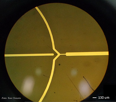 · Canales microfluídicos en una celda de vidrio. Foto: Yair Tenorio
