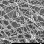 Nanofibras de PVP/nHAP. Foto: Claudia Mendoza Barrera