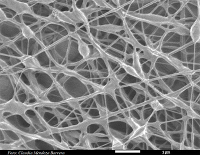 Nanofibras de PVP/nHAP. Foto: Claudia Mendoza Barrera