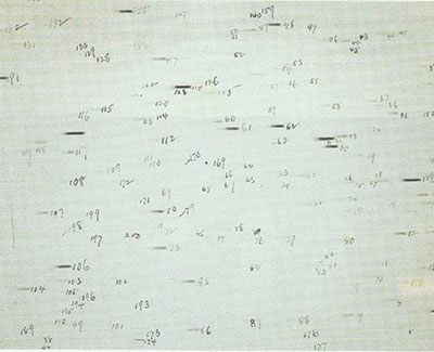 Figura 2. Imagen de una placa fotográfica en negativo del espectro de las estrellas enumerado y analizado por las mujeres de Harvard. Extraído del libro El universo de cristal