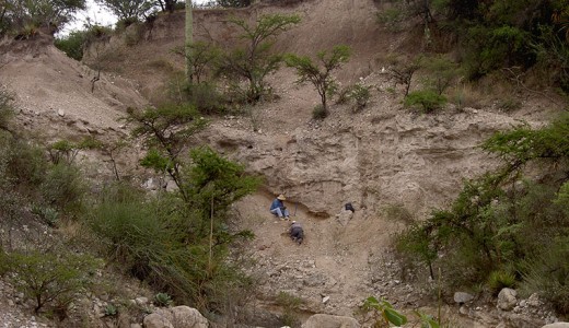 Vista de un afloramiento pleistocénico en las cercanías de Tepexi de Rodríguez. Autor: Marisol Montellano