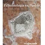 portada syc numero 94 diciembre 2019