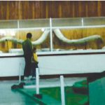B) Par de defensas de mamut halladas por Moisés Cabrera y expuestas en el extinto Museo de Historia Natural de Puebla (Fotografía cortesía del Arq. Enrique Martínez Molina);