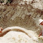 Moisés Cabrera excavando una defensa de mamut en los alrededores de Valsequillo. Fotografía: María Eugenia Cabrera, sin fecha.