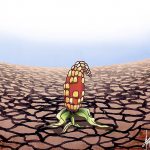 · Ilustración: Diego Tomasini “El Dibrujo” *