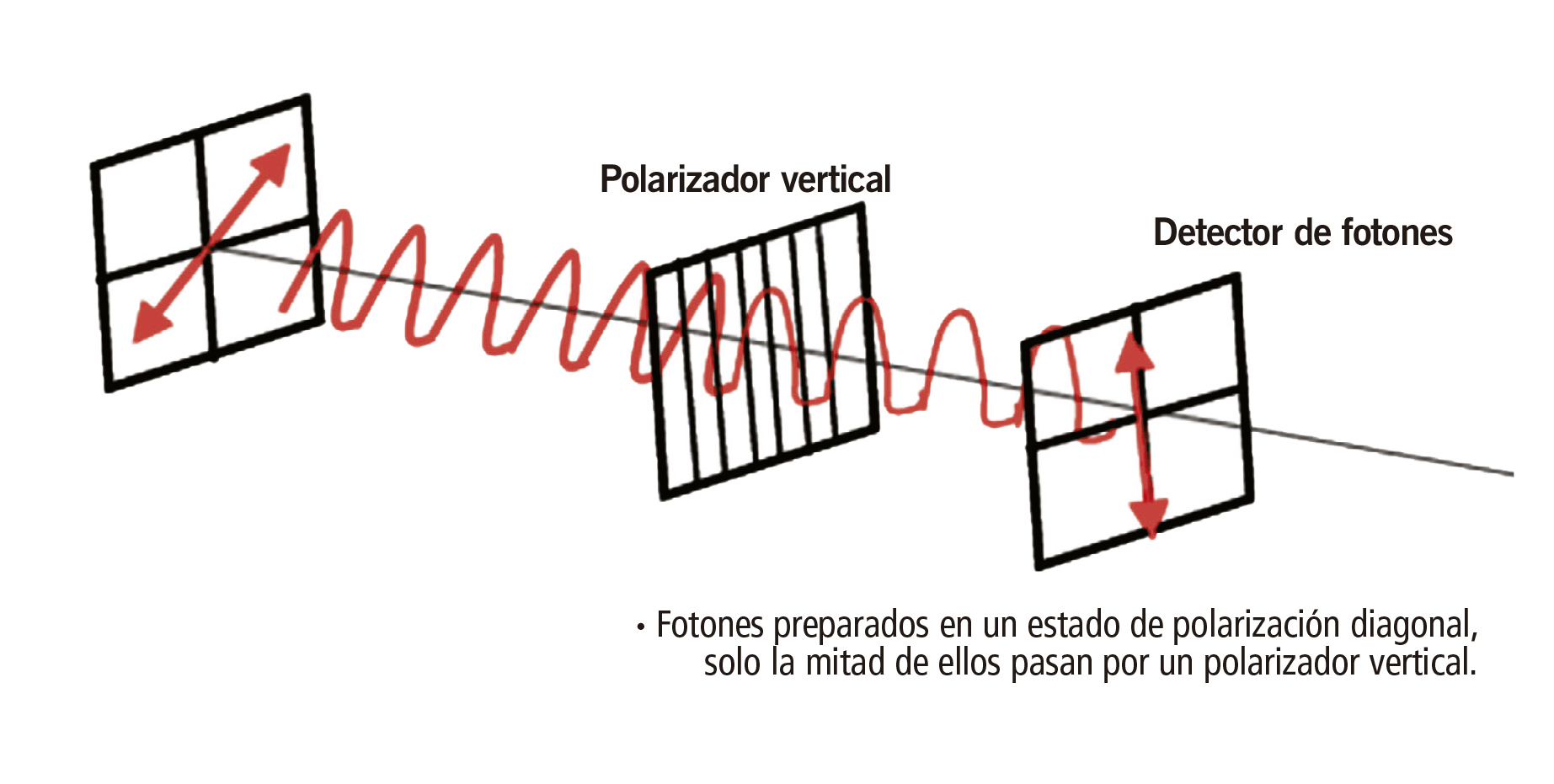 Fotones preparados en un estado de polarización diagonal, solo la mitad de ellos pasan por un polarizador vertical.