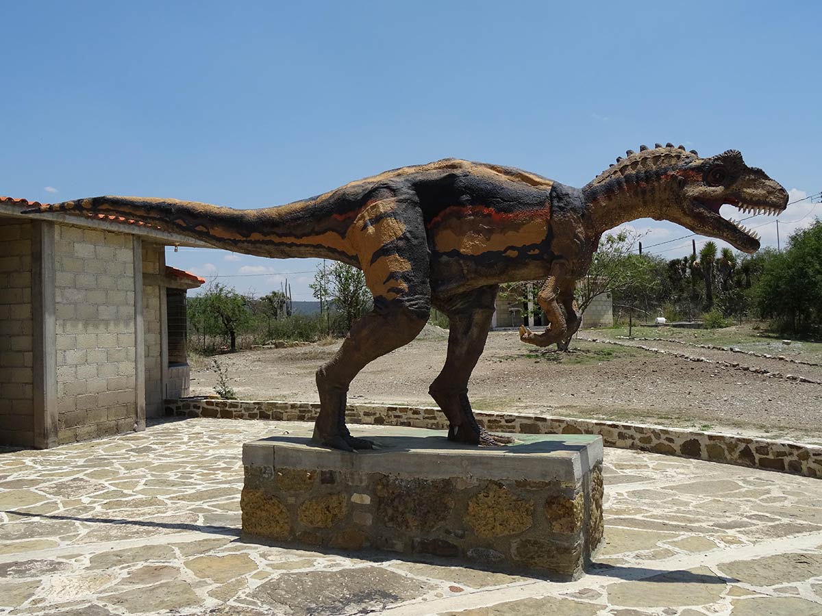 Reconstrucción hipotética del dinosaurio terópodo de San Juan Raya, Puebla. Fotografía: Jorge Herrera, 2019