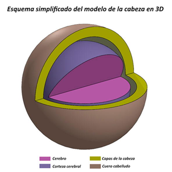 Figura 2: Esquema simplificado del modelo de la cabeza 3D.