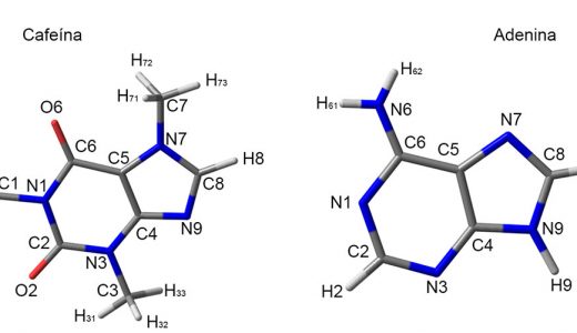 Figura 2. Estructuras de las moléculas de cafeína (izquierda) y adenina (derecha).