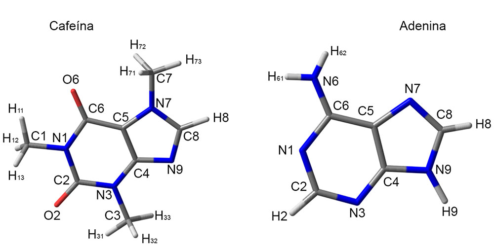 Figura 2. Estructuras de las moléculas de cafeína (izquierda) y adenina (derecha).