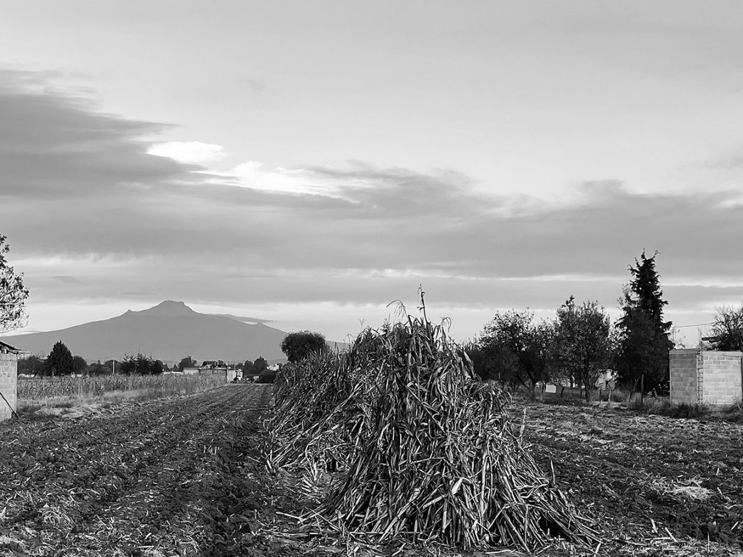 Fotografía “Tierra de Maíz”, de Brenda Muñoz
