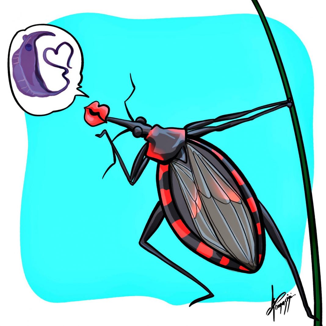 · Ilustración: Diego Tomasini “El Dibrujo” *